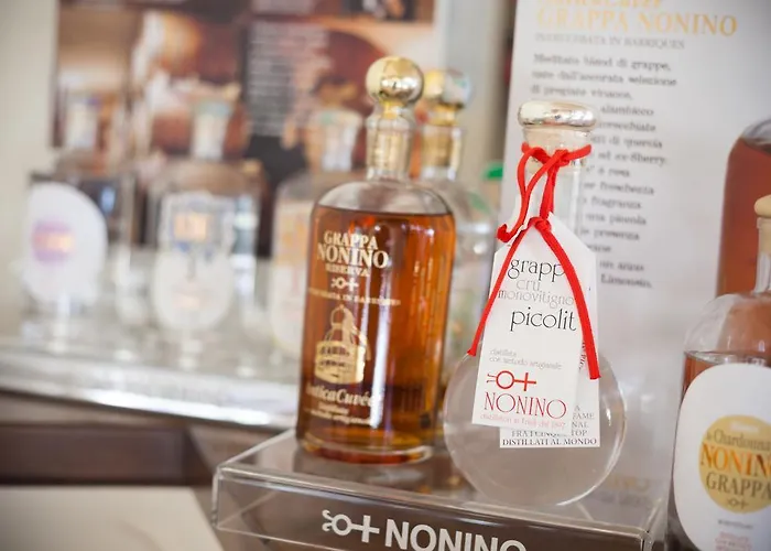 Elite Hotel Lido di Jesolo